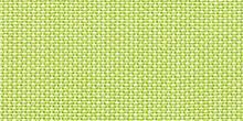 5405-0000-Canvas-Parrot